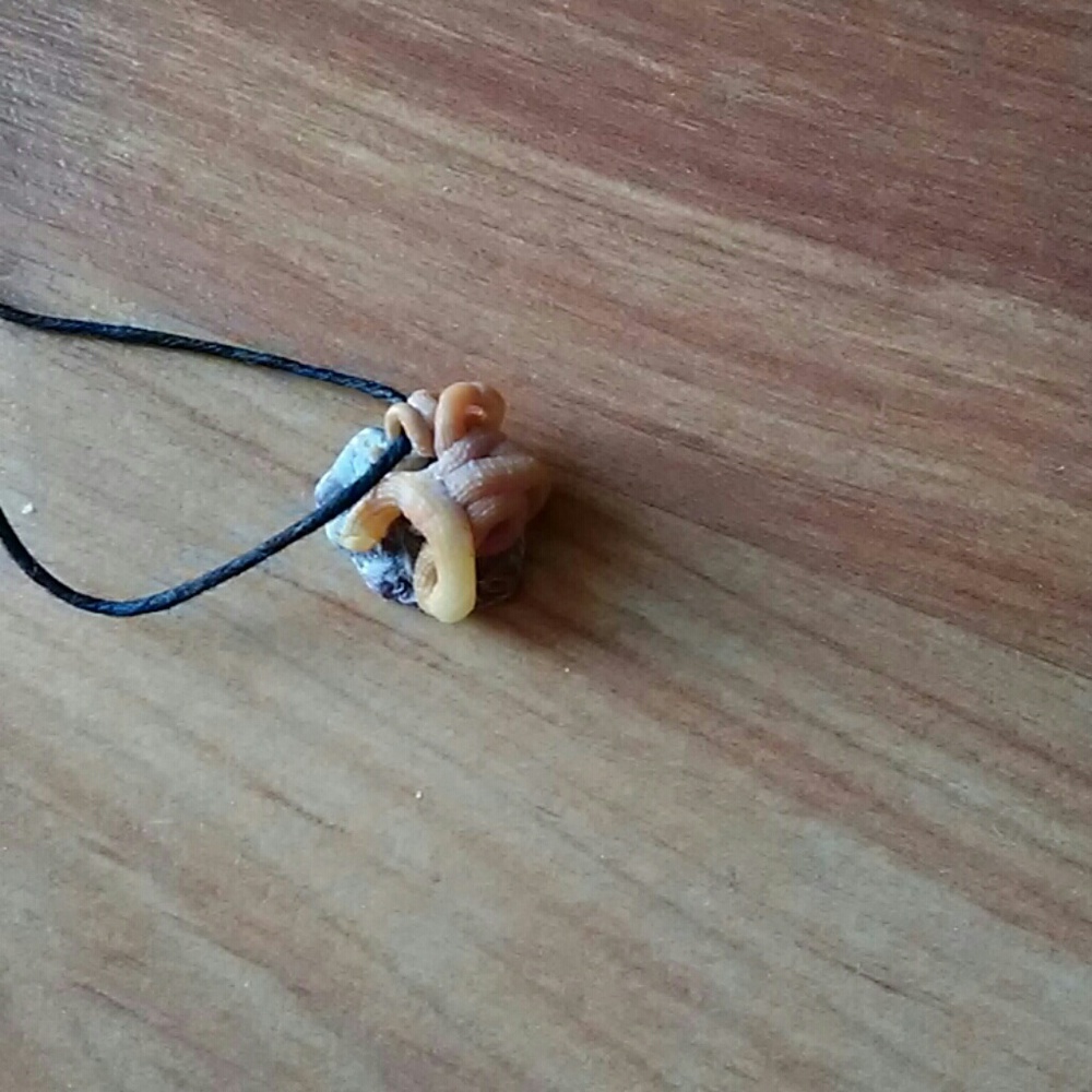 Shell necklace on hemp cord